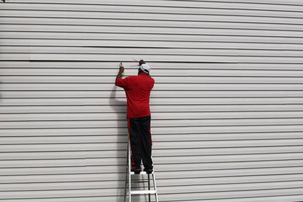 Best Vinyl Siding Installation  in Hooks, TX